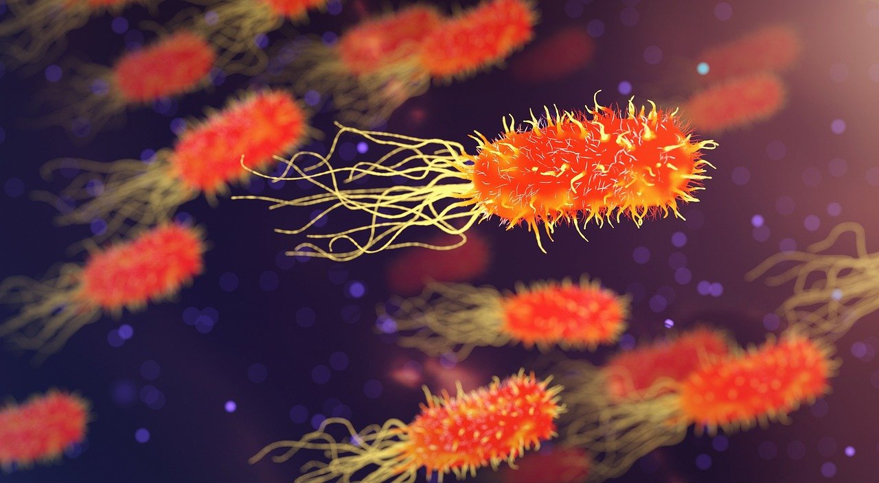 5-Amino-1MQ: NNMT Inhibition and NAD+ Pathway Research — research-context featured image | Advanced Peptide Science